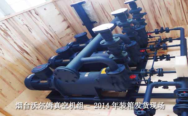 真空泵機(jī)組案例-2014.9珠海某制藥2BV系列液環(huán)真空泵機(jī)組裝箱發(fā)貨現(xiàn)場(chǎng)圖片 真空泵機(jī)組案例-2014.9珠海某制藥2BV系列液環(huán)真空泵機(jī)組裝箱發(fā)貨現(xiàn)場(chǎng)圖片