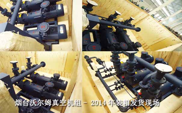 真空泵機(jī)組案例-2014.9珠海某制藥2BV系列液環(huán)真空泵機(jī)組裝箱發(fā)貨現(xiàn)場(chǎng)圖片 真空泵機(jī)組案例-2014.9珠海某制藥2BV系列液環(huán)真空泵機(jī)組裝箱發(fā)貨現(xiàn)場(chǎng)圖片