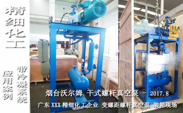 干式螺桿真空泵圖片-2017.8廣東某精細(xì)化工帶冷凝系統(tǒng)的ESDP320螺桿泵案例圖片 干式螺桿真空泵圖片-2017.8廣東某精細(xì)化工帶冷凝系統(tǒng)的ESDP320螺桿泵案例圖片