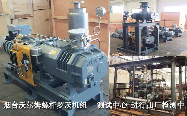 羅茨真空泵-2017.7煙臺某集團(tuán)螺桿羅茨機(jī)組案例圖片 羅茨真空泵-2017.7煙臺某集團(tuán)螺桿羅茨機(jī)組案例圖片