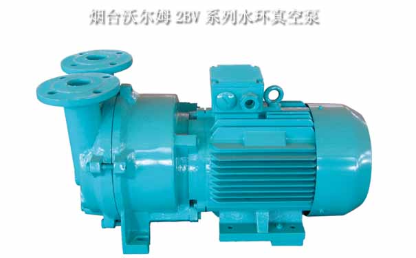 煙臺沃爾姆2BV系列水環(huán)真空泵 煙臺沃爾姆2BV系列水環(huán)真空泵