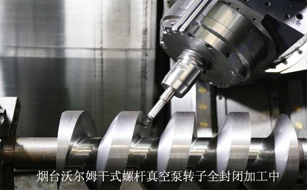 螺桿泵圖片-螺桿泵的轉(zhuǎn)子正在制造過(guò)程中的加工圖片 螺桿泵圖片-螺桿泵的轉(zhuǎn)子正在制造過(guò)程中的加工圖片