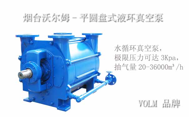 平圓盤式液環(huán)真空泵-沃爾姆品牌 平圓盤式液環(huán)真空泵-沃爾姆品牌