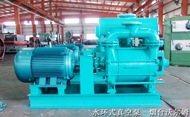 山東水環(huán)真空泵廠-水環(huán)真空泵(沃爾姆真空泵) 山東水環(huán)真空泵廠-水環(huán)真空泵(沃爾姆真空泵)