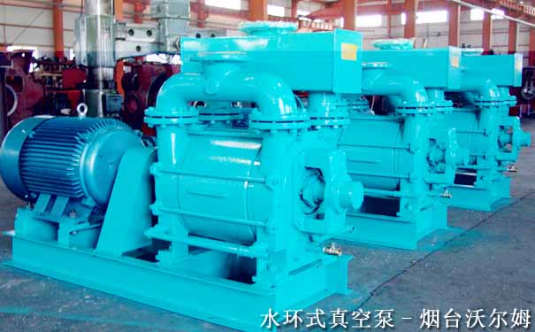 水環(huán)真空泵(VOLM真空泵品牌) 水環(huán)真空泵(VOLM真空泵品牌)