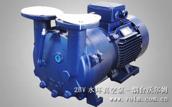 2BV水環(huán)式真空泵 2BV水環(huán)式真空泵