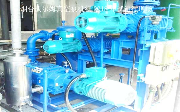 沃爾姆品牌真空泵 沃爾姆品牌真空泵