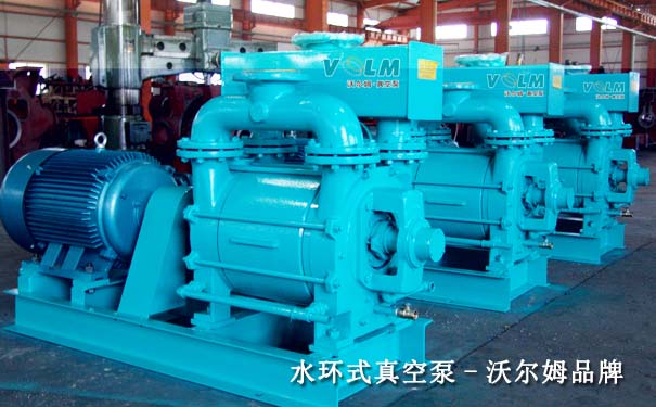 水環(huán)真空泵-沃爾姆品牌水環(huán)真空泵-沃爾姆品牌 水環(huán)真空泵-沃爾姆品牌水環(huán)真空泵-沃爾姆品牌