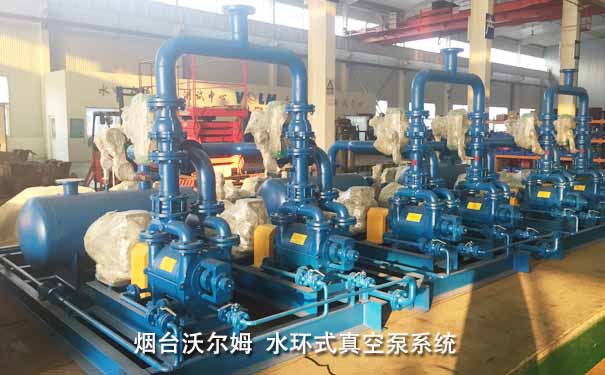 不銹鋼水環(huán)式真空泵系統(tǒng)-煙臺沃爾姆 不銹鋼水環(huán)式真空泵系統(tǒng)-煙臺沃爾姆