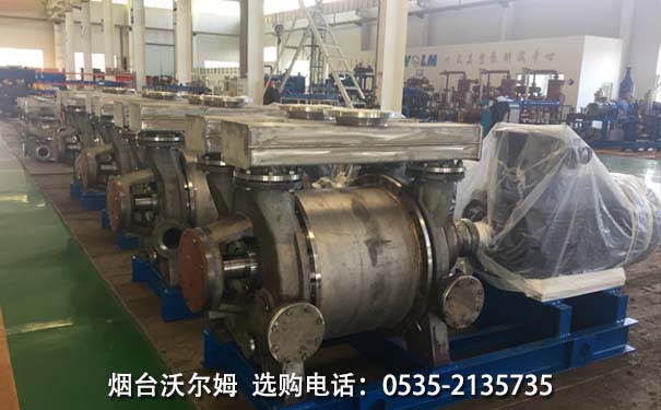 沃爾姆不銹鋼水環(huán)式真空泵-耐腐蝕真空泵材料 沃爾姆不銹鋼水環(huán)式真空泵-耐腐蝕真空泵材料