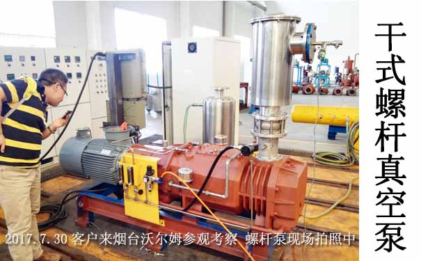 雙螺桿真空泵-沃爾姆螺桿泵生產(chǎn)廠家 雙螺桿真空泵-沃爾姆螺桿泵生產(chǎn)廠家