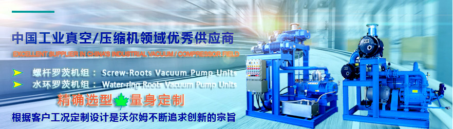 水環(huán)羅茨機組